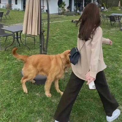 天堂三部曲之爱